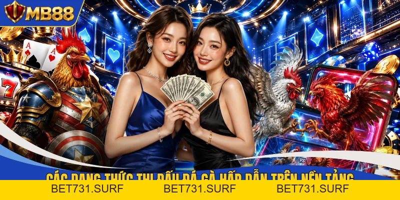Đá Gà MB88 - Theo Dõi Không Gian Chọi Kê Kịch Tính Nhất - bet731
