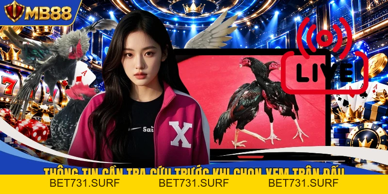 Đá Gà MB88 - Theo Dõi Không Gian Chọi Kê Kịch Tính Nhất - bet731